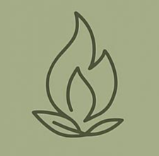 kod energii. wszystko co musisz wiedzieć o odżywianiu i energii życiowej