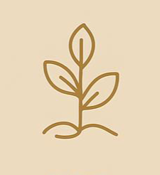 rozwój i transformacja. Proces świadomej zmiany, rozwoju osobistego i duchowego. - uzależnienia